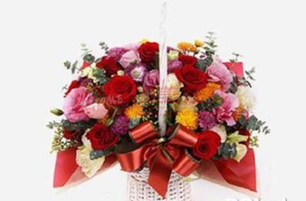 教师节送什么礼物好? -国美在线